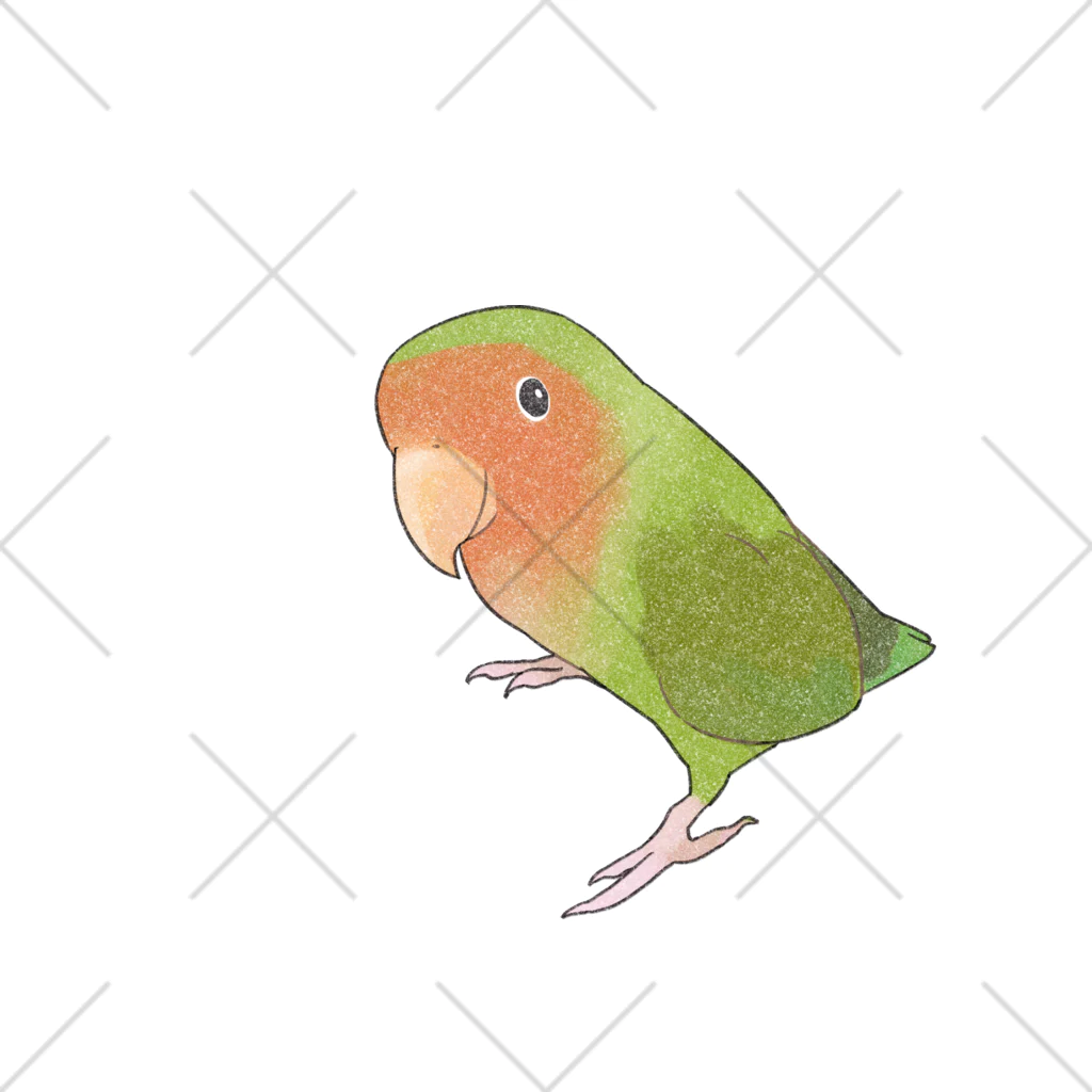 まめるりはことりの見つめるコザクラインコちゃん【まめるりはことり】 くるぶしソックス