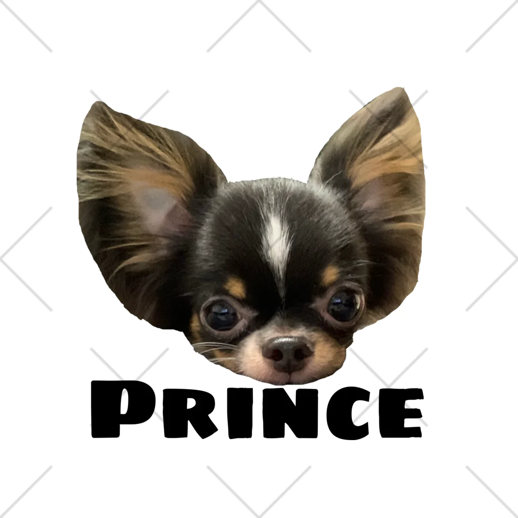 チワワのOWTANのPRINCE  チワワ　ホワイト くるぶしソックス