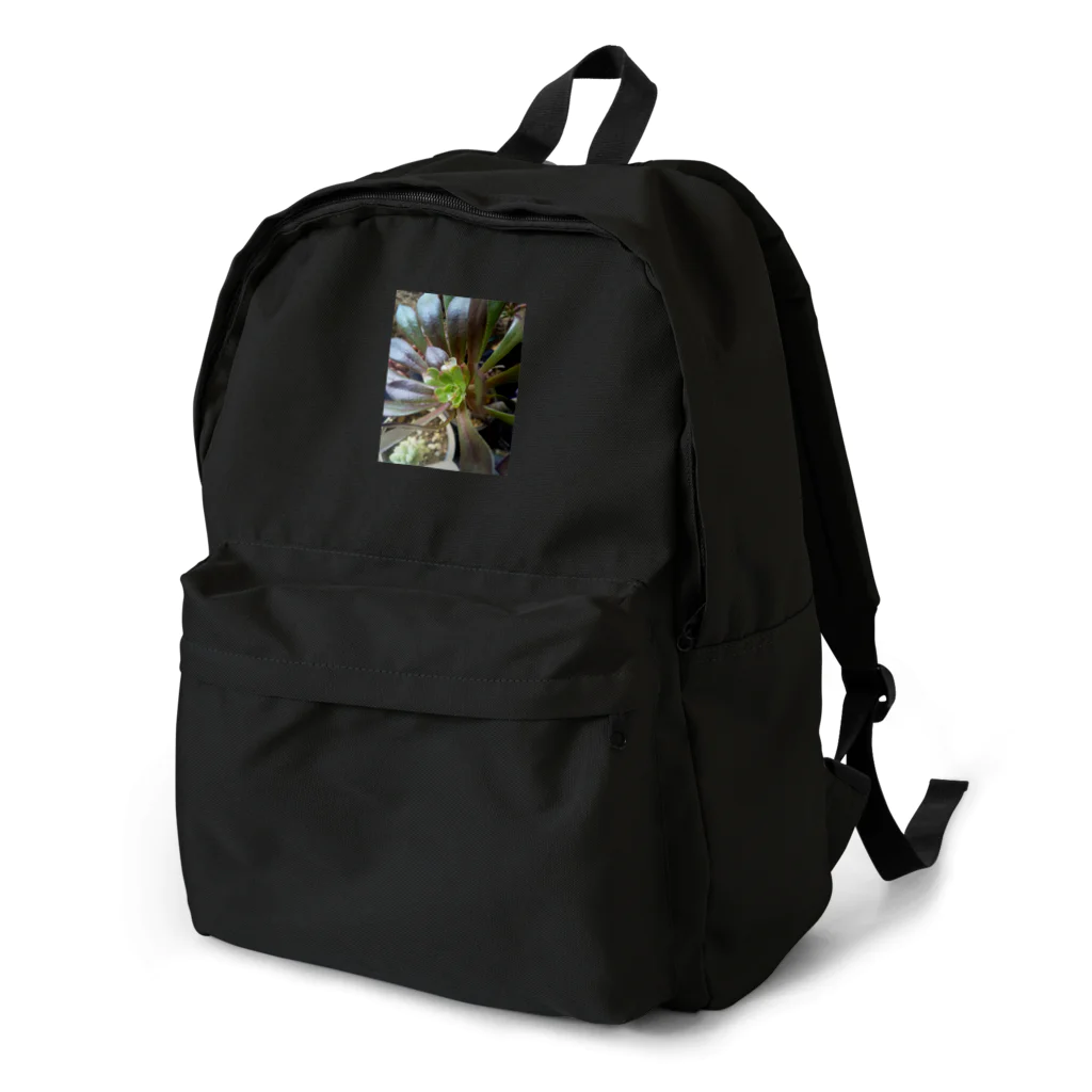 ミクロの多肉植物の黒法師 Backpack