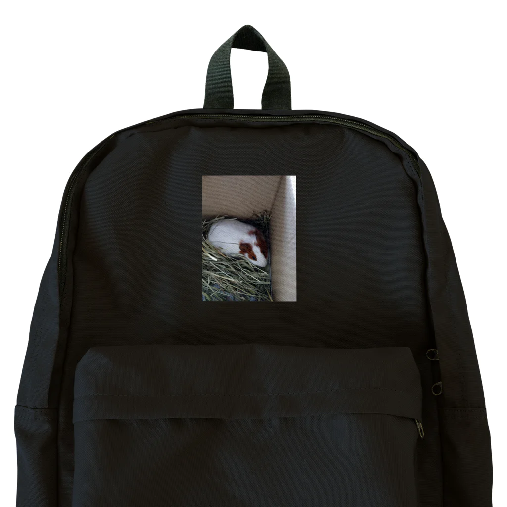 Milkoftheguineapigのモルモットのイヴさん Backpack