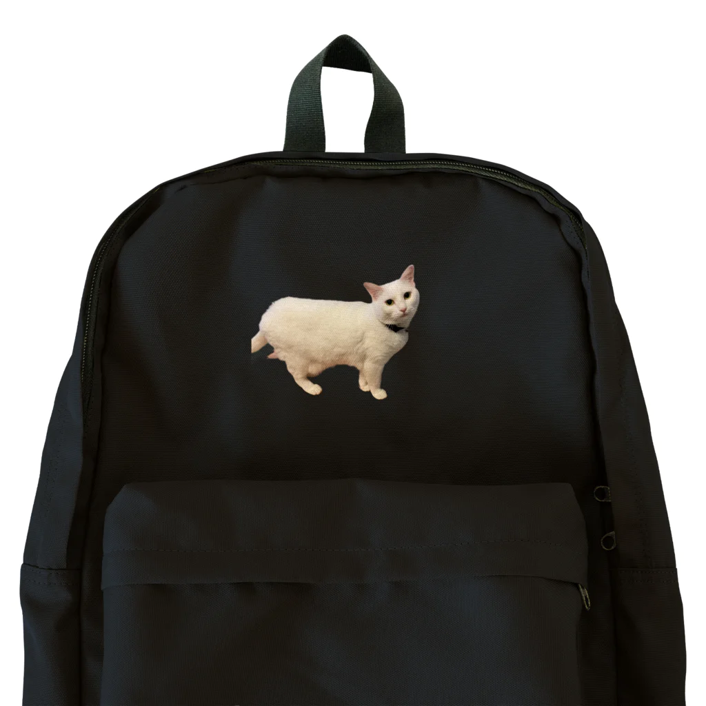 ねこすきの散歩行こ Backpack