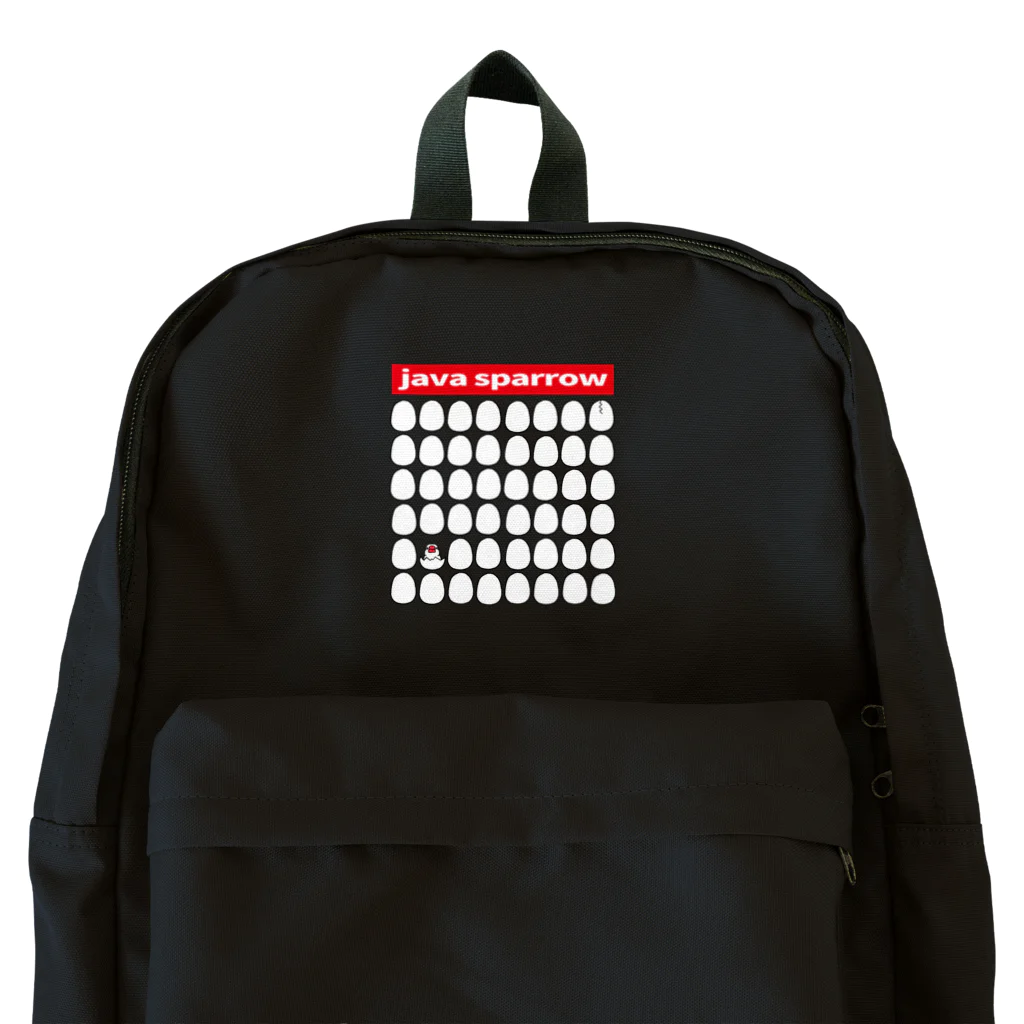 ケロケロワークスのBCT48 Backpack