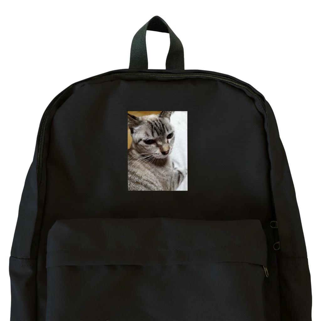 ねこの森でお散歩のさあ、モフりなさいよ。 Backpack