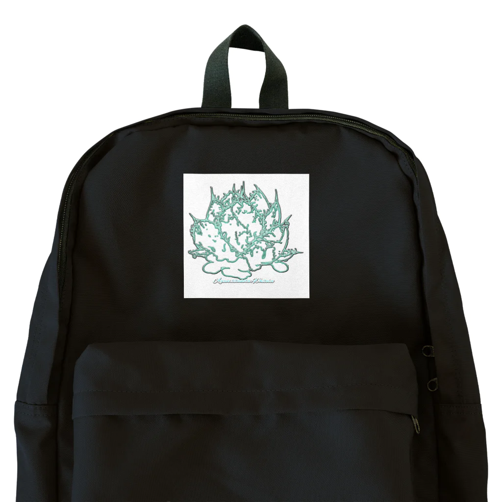 Hakoniwaraboのアガベホワイトアイス Backpack