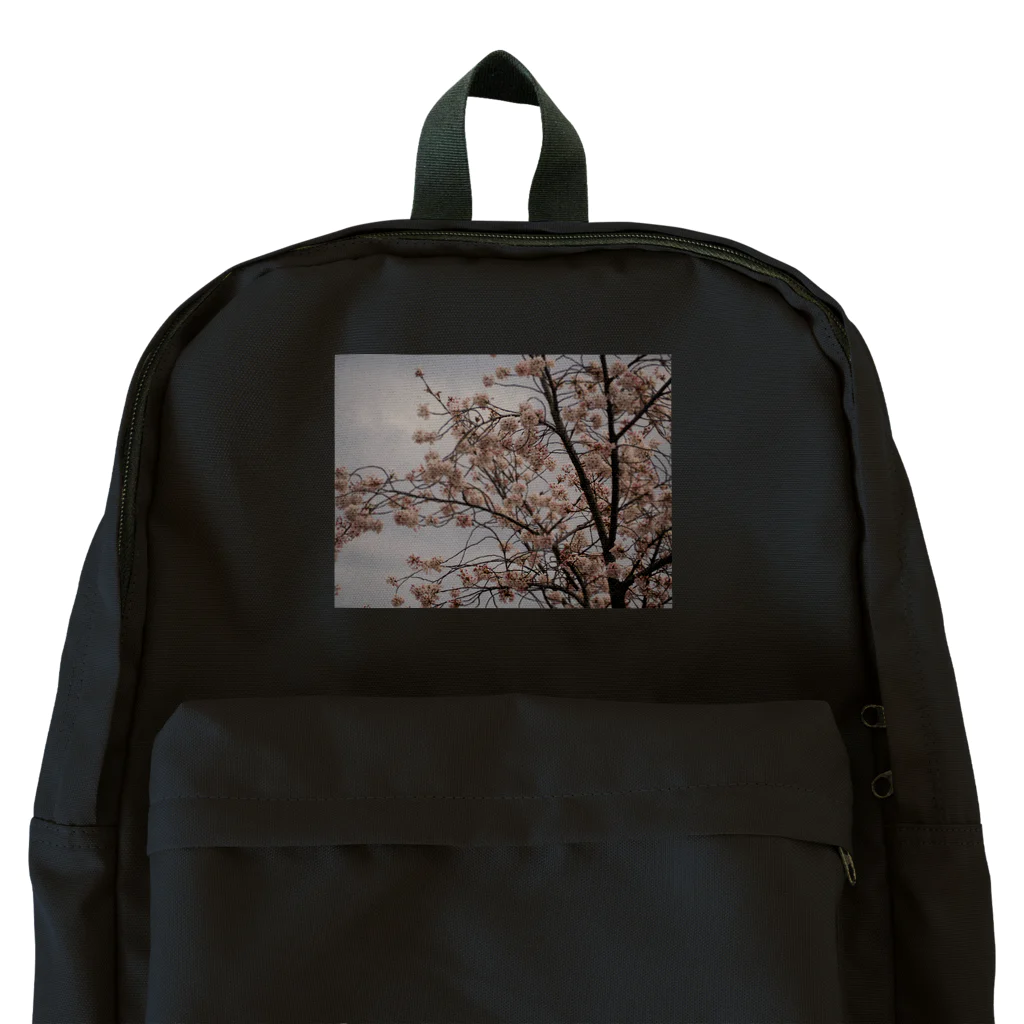 ムーンライトのレトロSAKURA Backpack