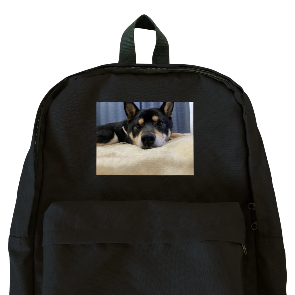 yt2023のキャン Backpack