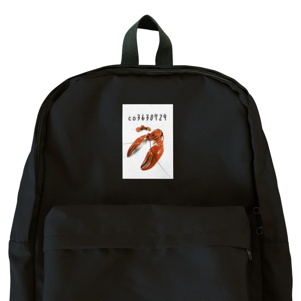 ザリガニ実験室のco3630729 ₋ 01 Backpack