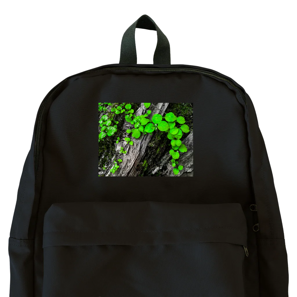 suparnaの探究 Backpack