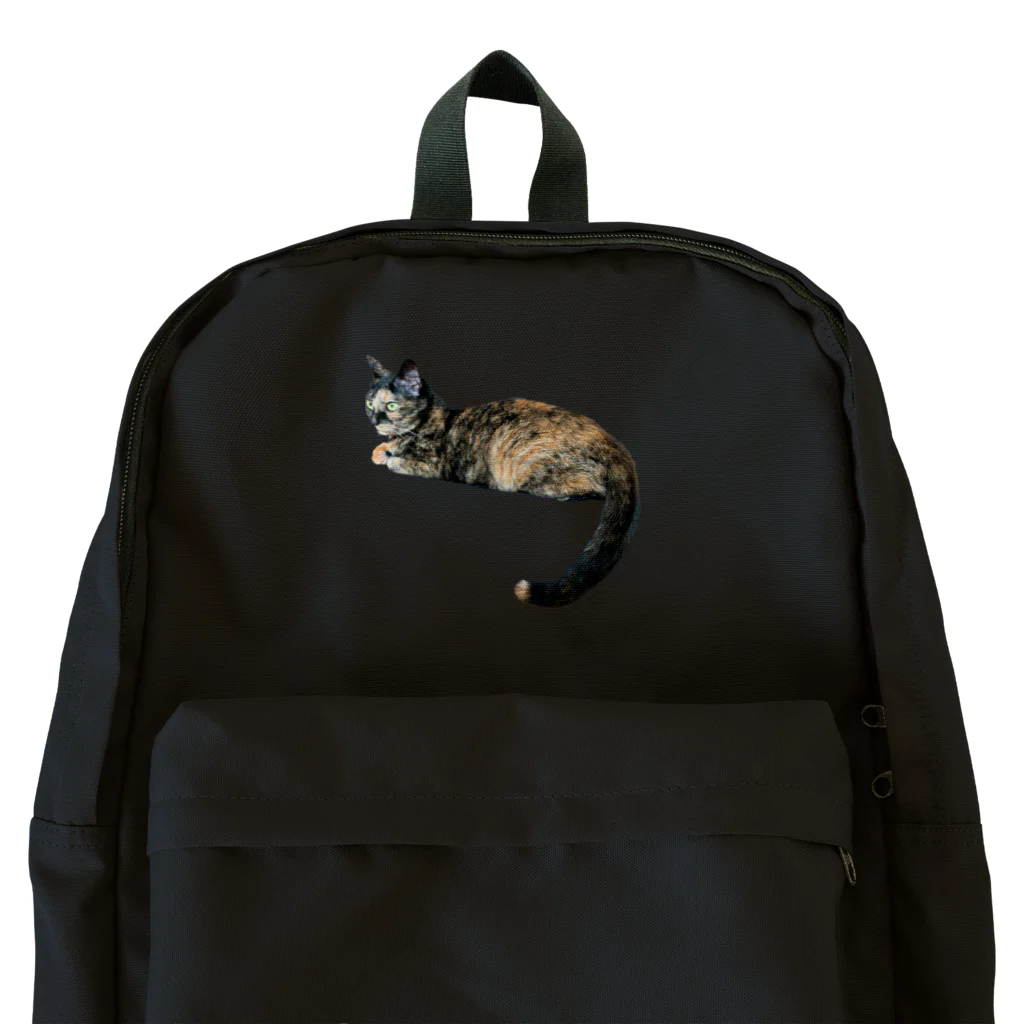 QDAのAZUKI Backpack