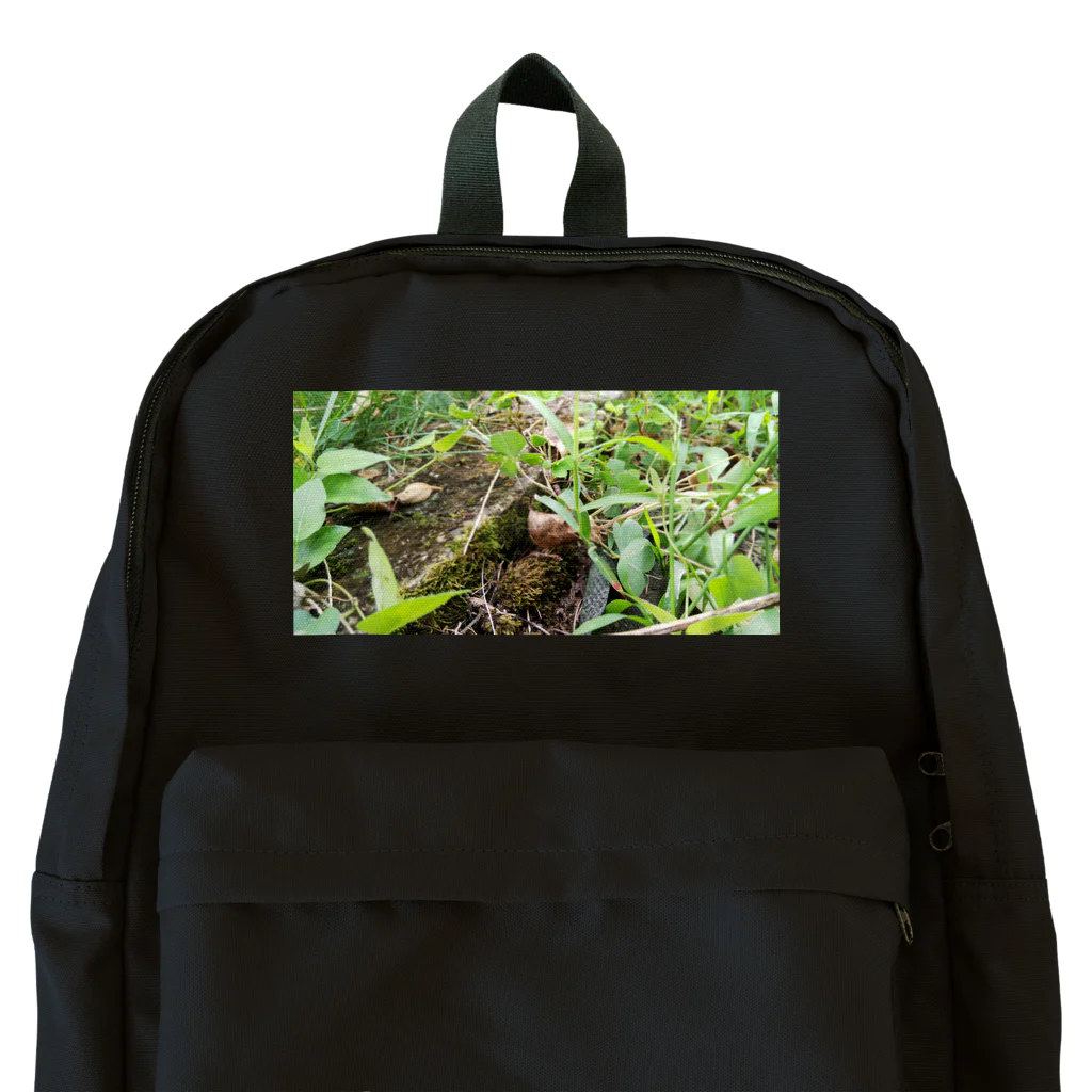 tizujonoboukenの自然豊か Backpack