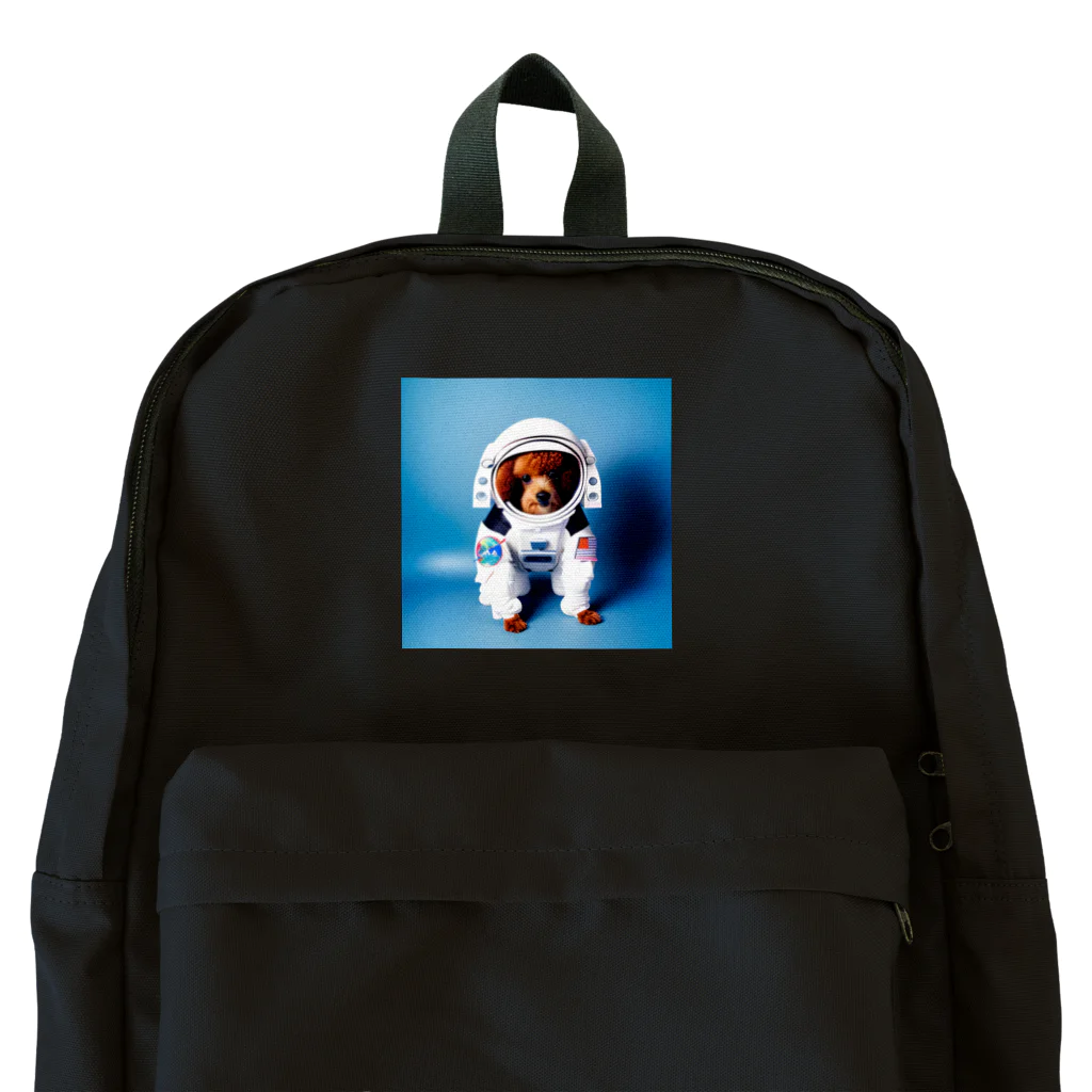 rethelの宇宙に連れてって Backpack