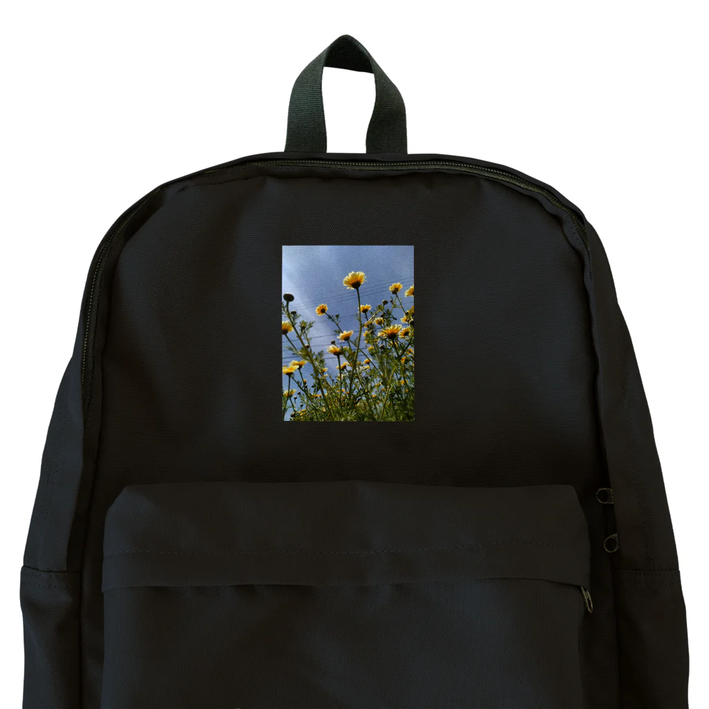 MMの黄色い春菊の花 Backpack