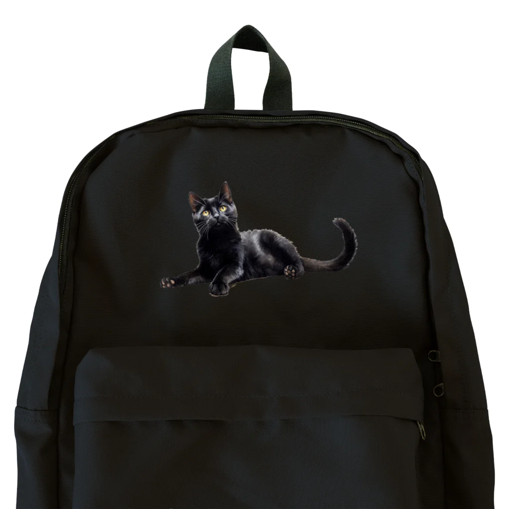 日向ぼっこの黒猫ちも Backpack