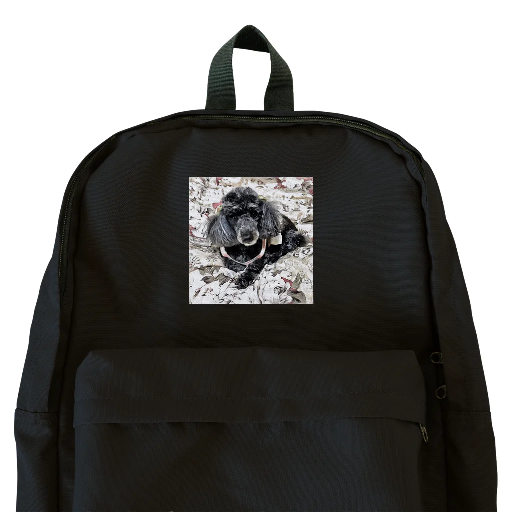黒トイプーのハナの黒トイプーハナのグッズ Backpack