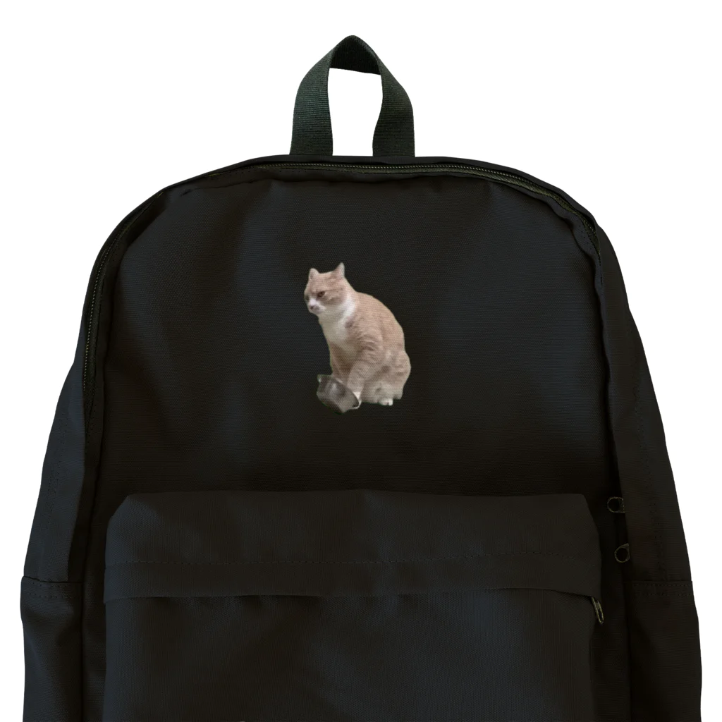 猫ミームグッズの【猫ミーム】餌を催促する猫 Backpack