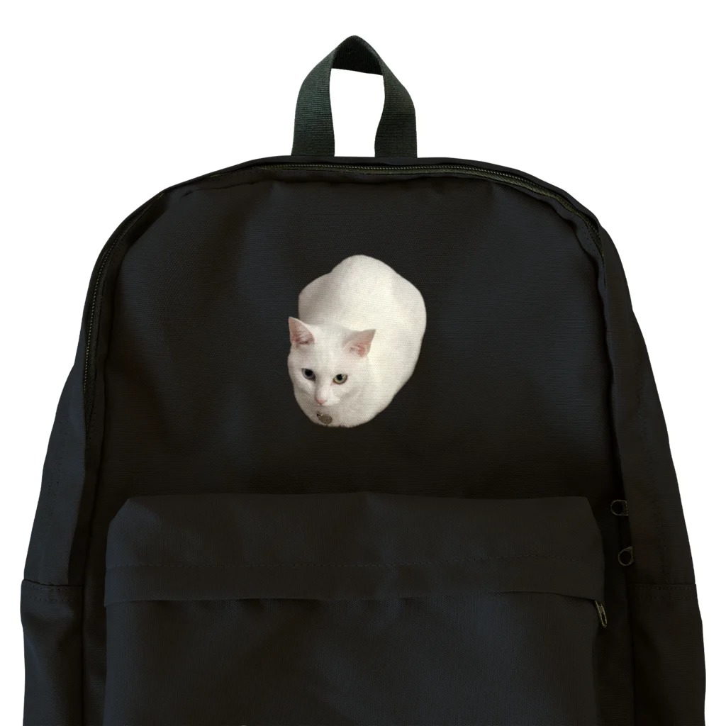 白猫のんちゃんの白猫のんちゃん Backpack
