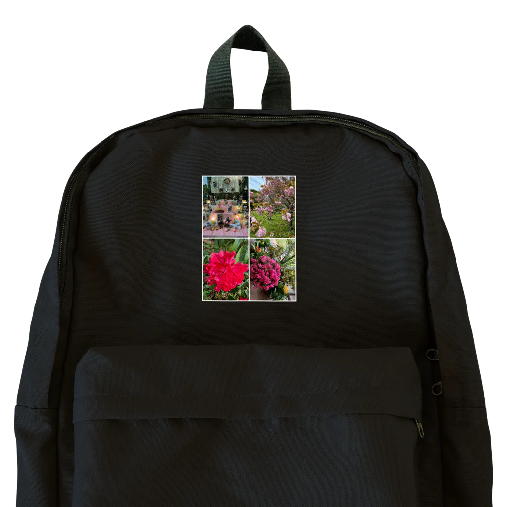 波乗り南国🏝️の花見散歩 Backpack