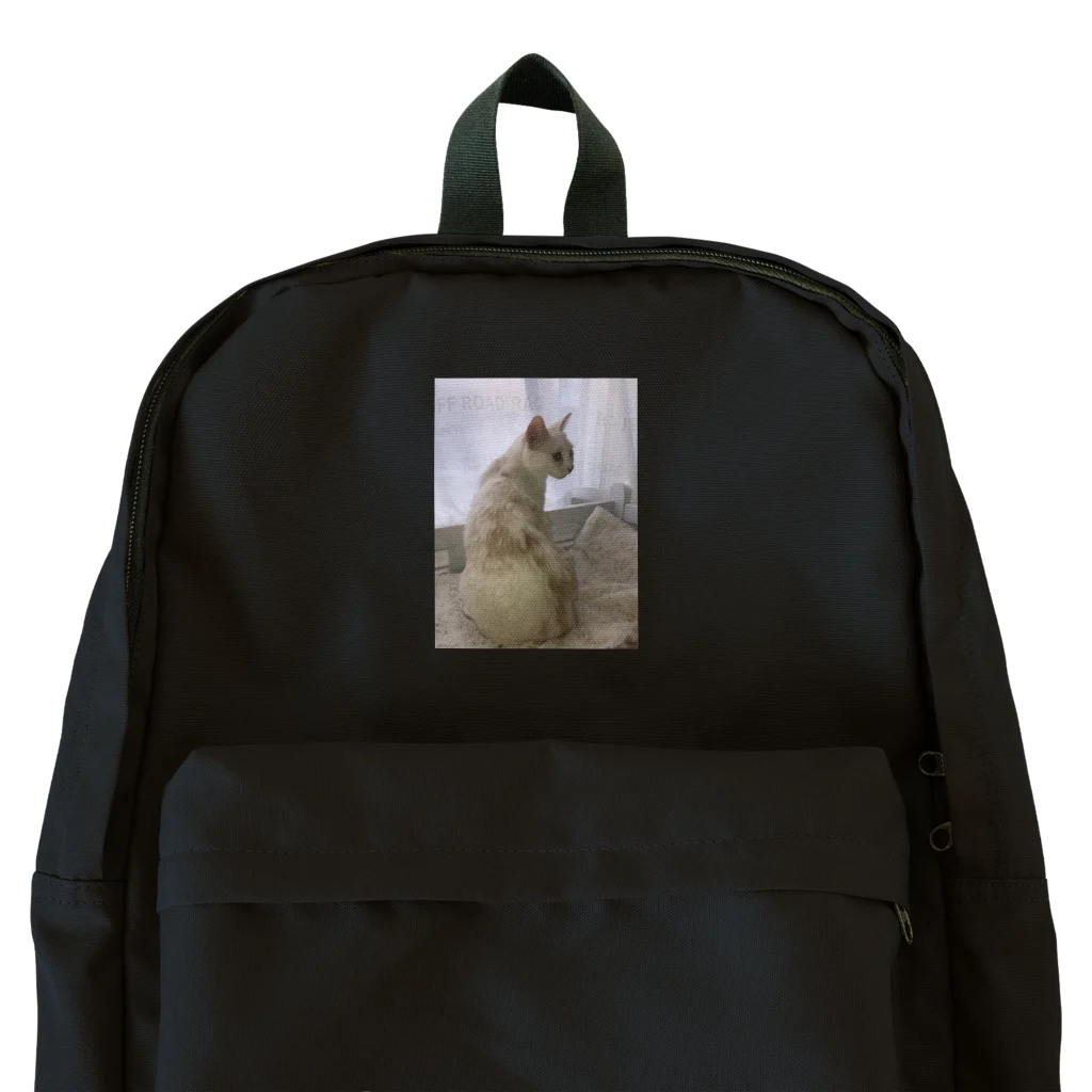 Mizuki・ASIA CATの後ろ美猫MILU🐾 Backpack