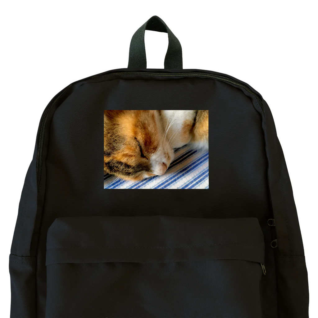 ねこちゃんが大好きなのです。の愛猫れいにゃんのグッズ Backpack