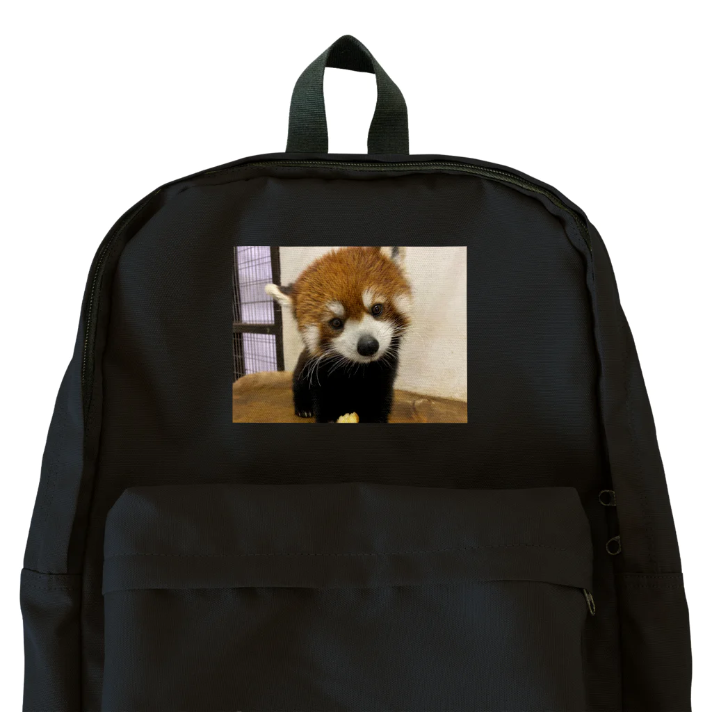 白銀屋のレッサーパンダ Backpack