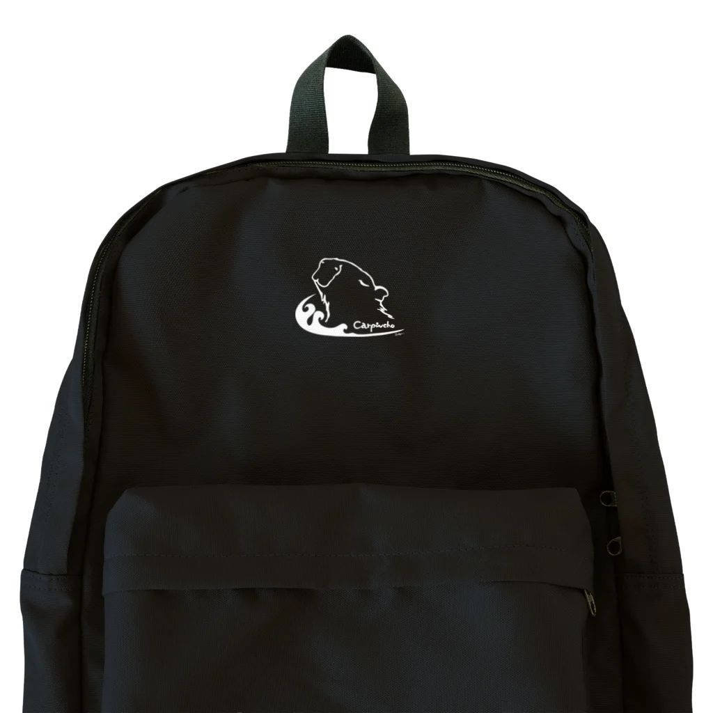 RockgenのCarpincho ざぶんと入る Backpack