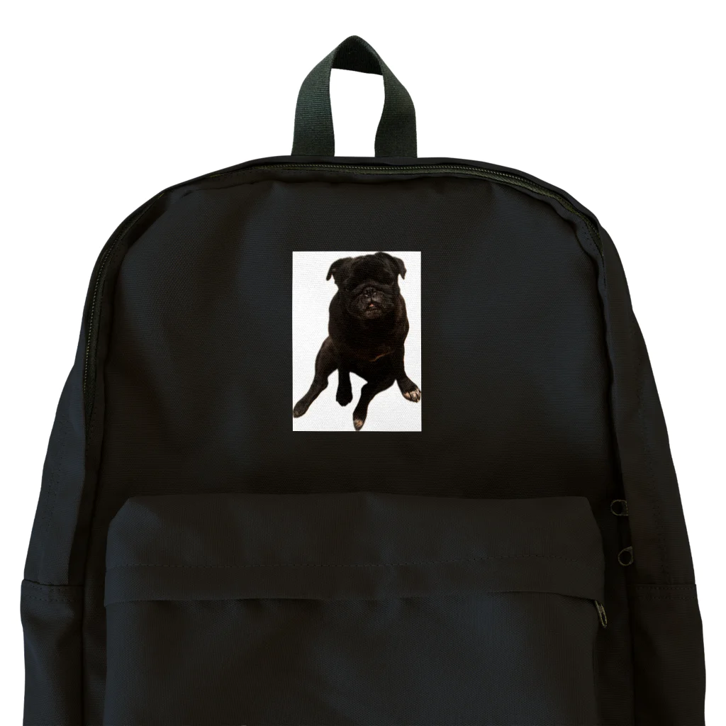 EHMforyouのパグ Backpack