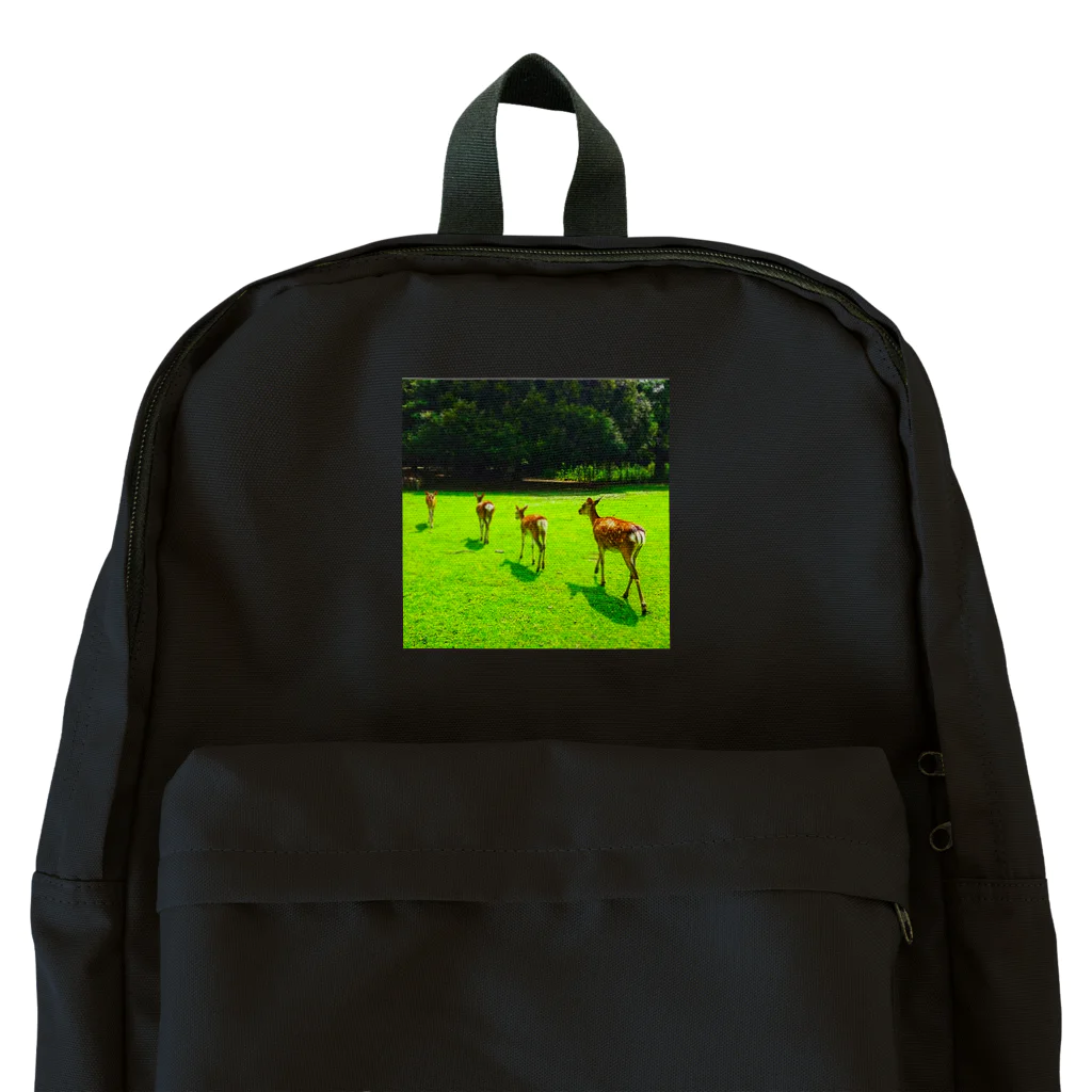 ならばー地亜貴(c_c)bの奈良公園の鹿が変える姿 Backpack