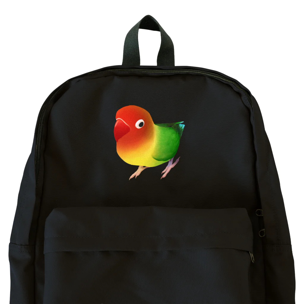 まめるりはことりのボタンインコ　おすましルリゴシボタンインコ【まめるりはことり】 Backpack