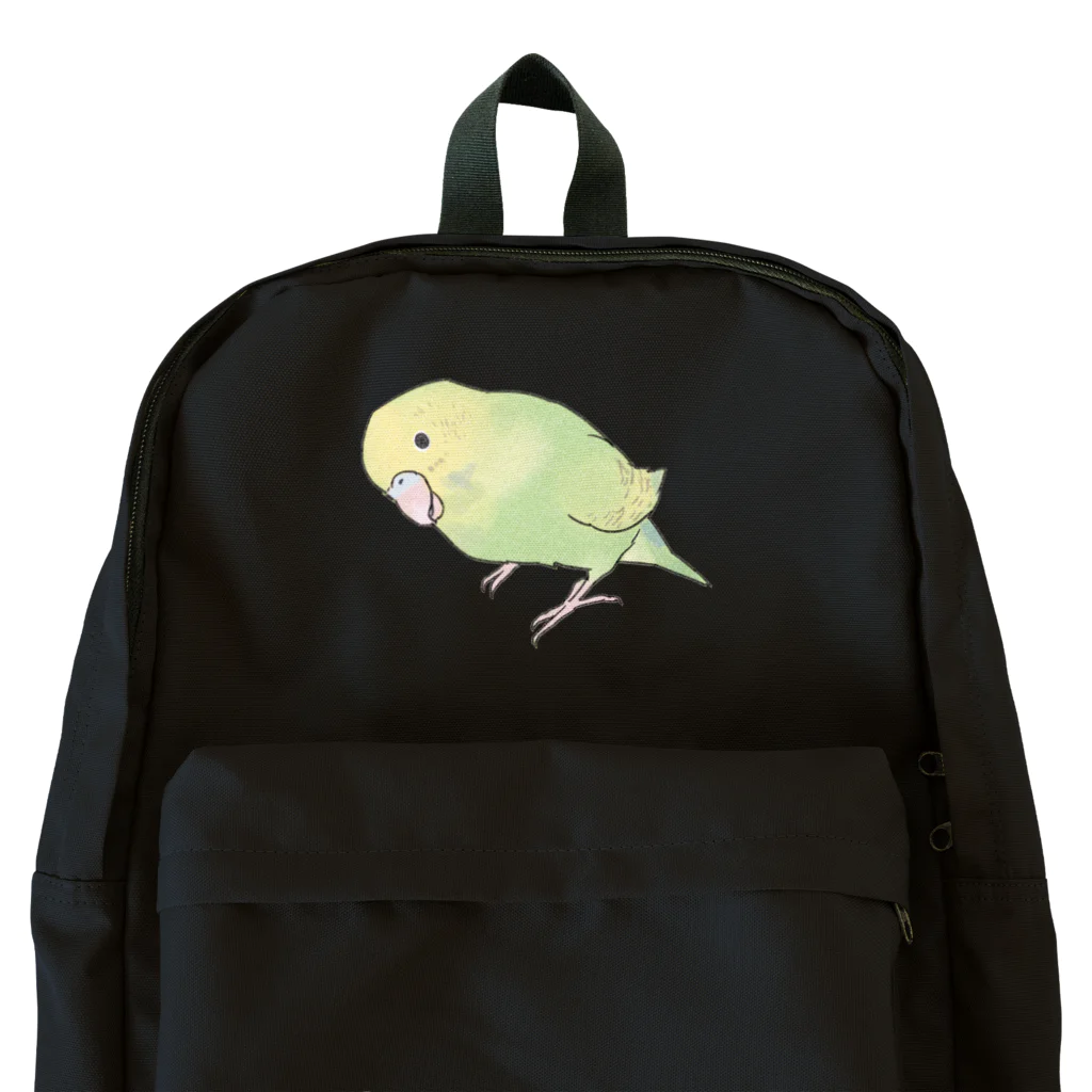 まめるりはことりの首傾げ　スパングルセキセイインコちゃん【まめるりはことり】 Backpack