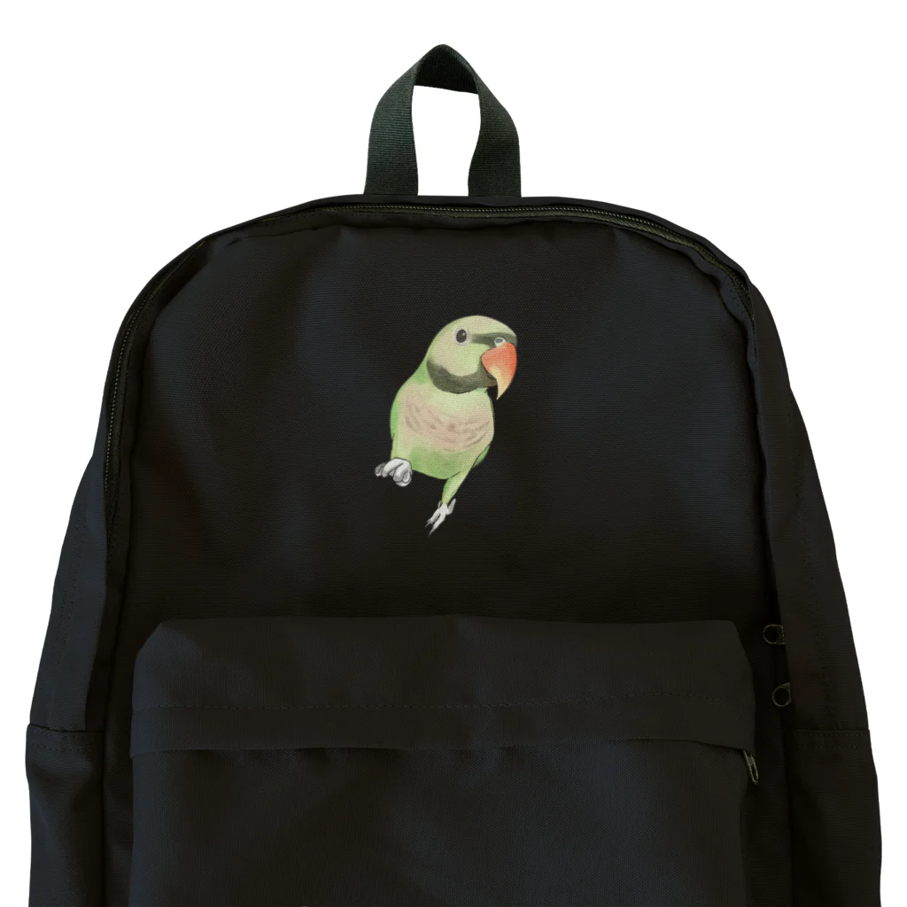 まめるりはことりのご機嫌なダルマインコちゃん【まめるりはことり】 Backpack