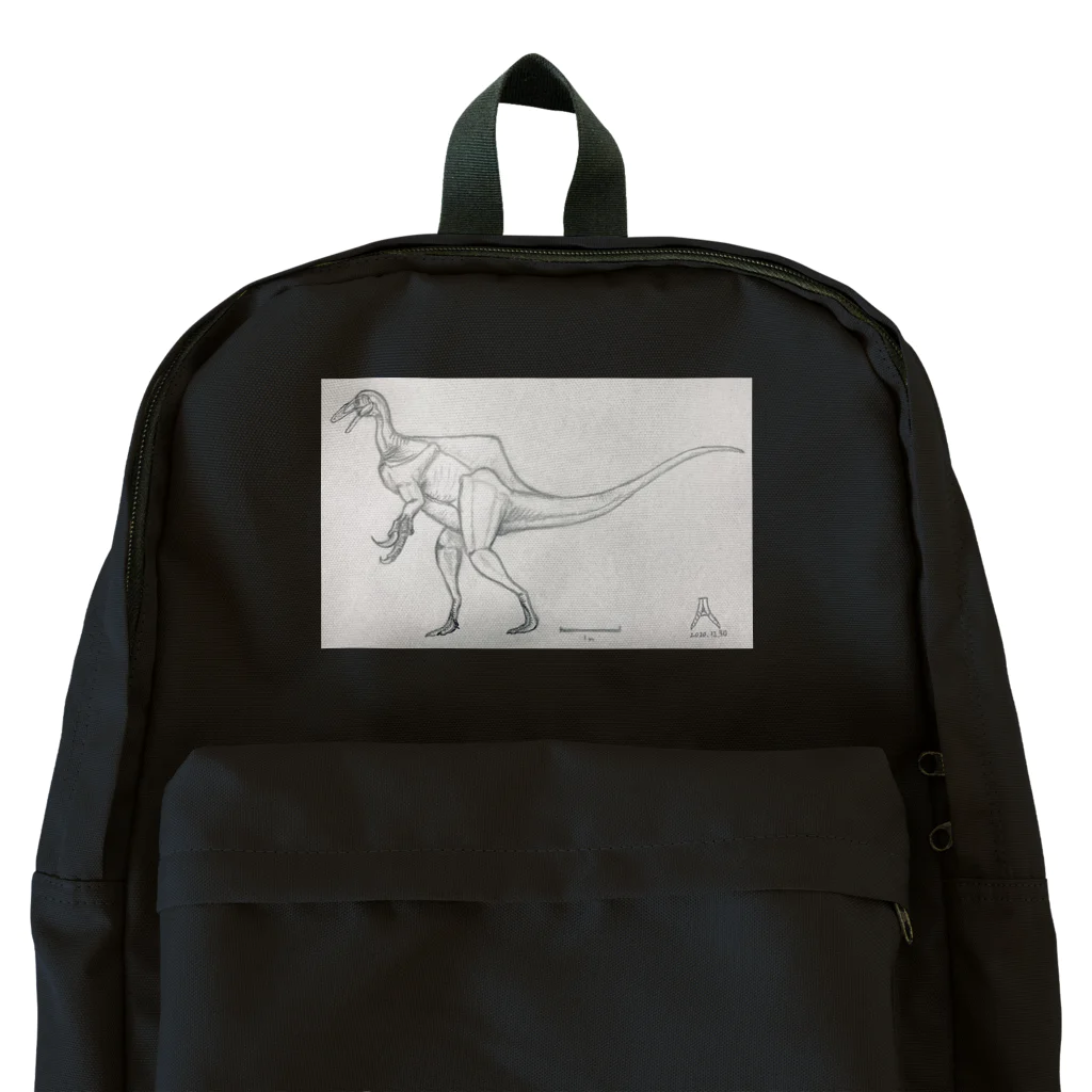 Alectroのテラトスミルス・ミラビリス Backpack