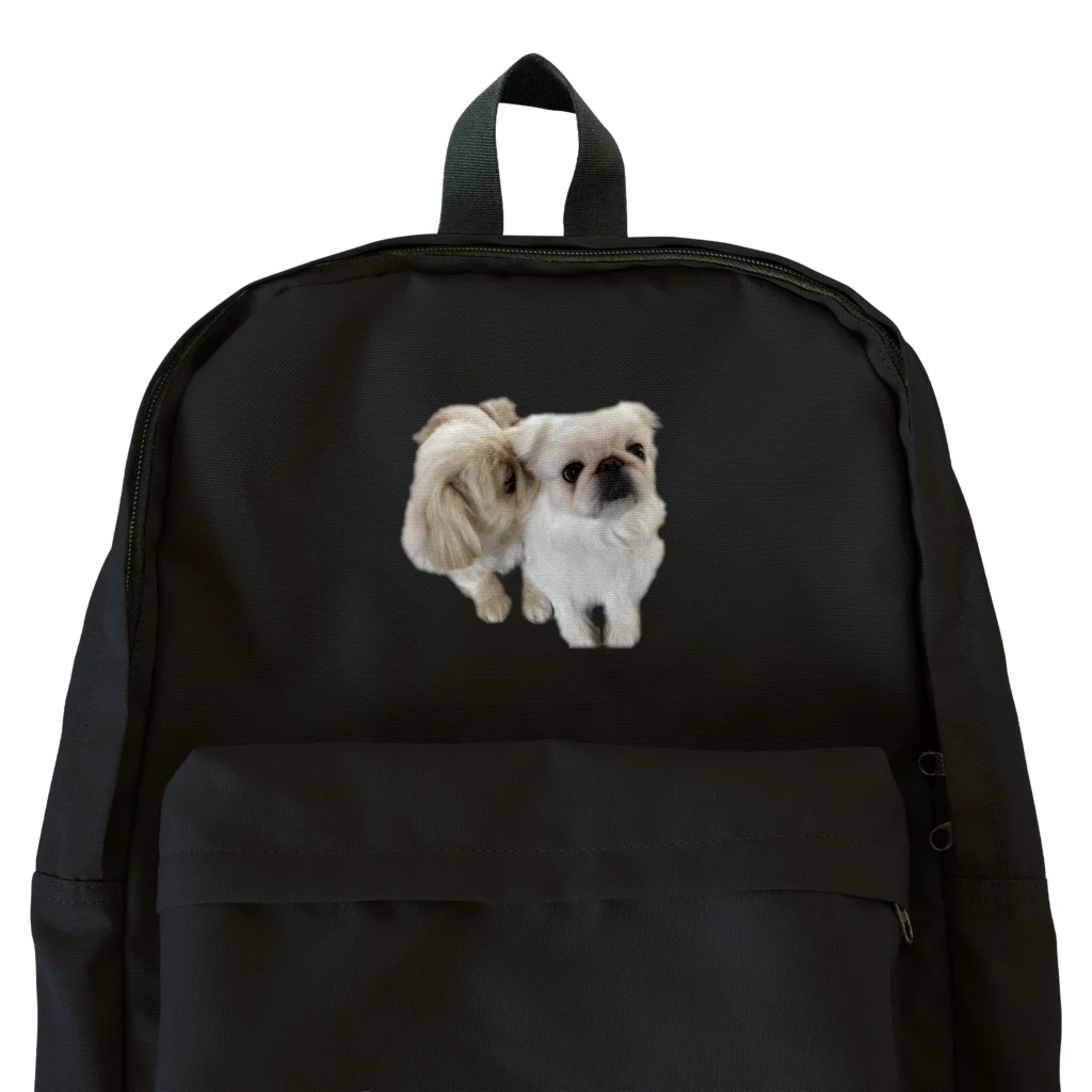 ペキ&シーのペキニーズ犬　すもも&こむぎ Backpack