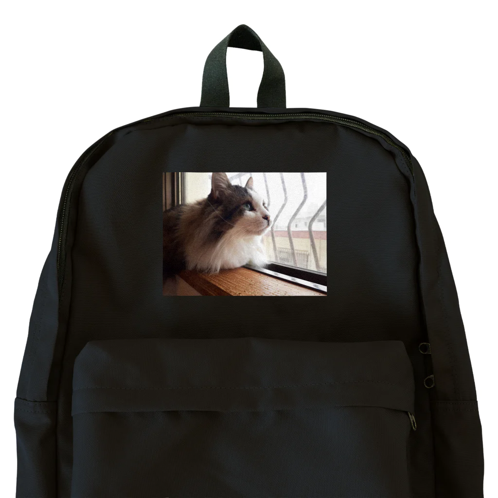 les liensのねこねこ大先輩 Backpack