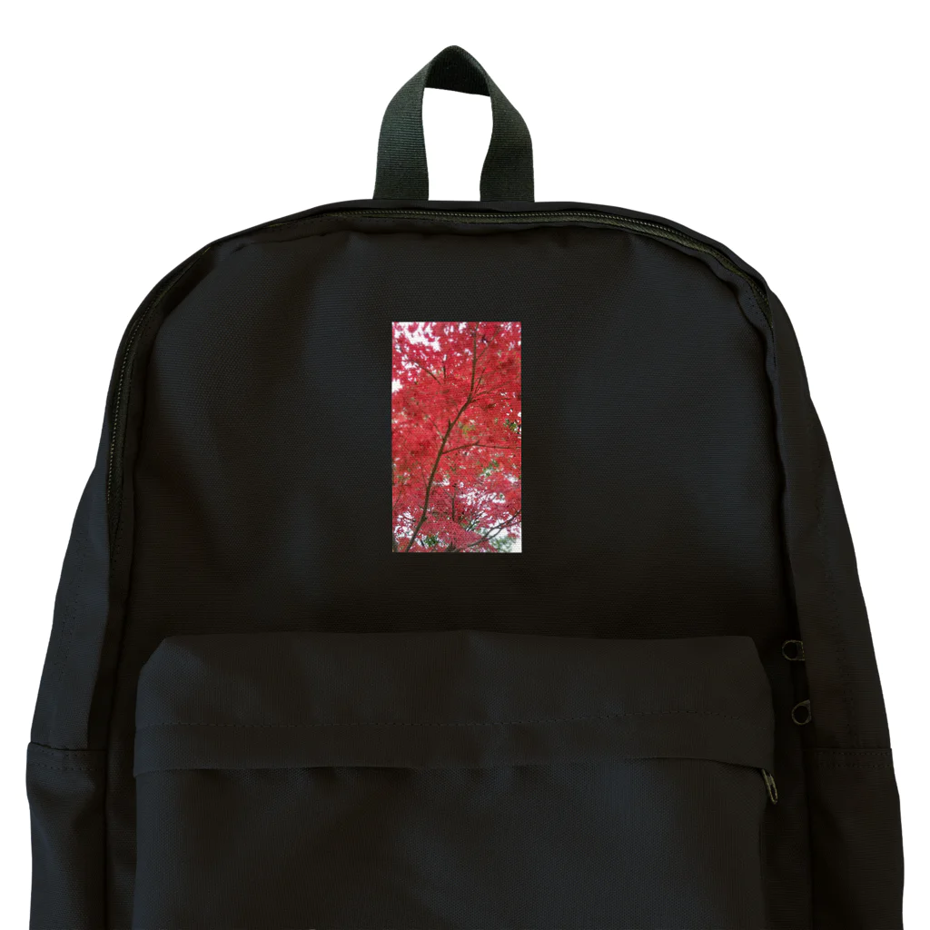 ルキちゃの紅葉 Backpack