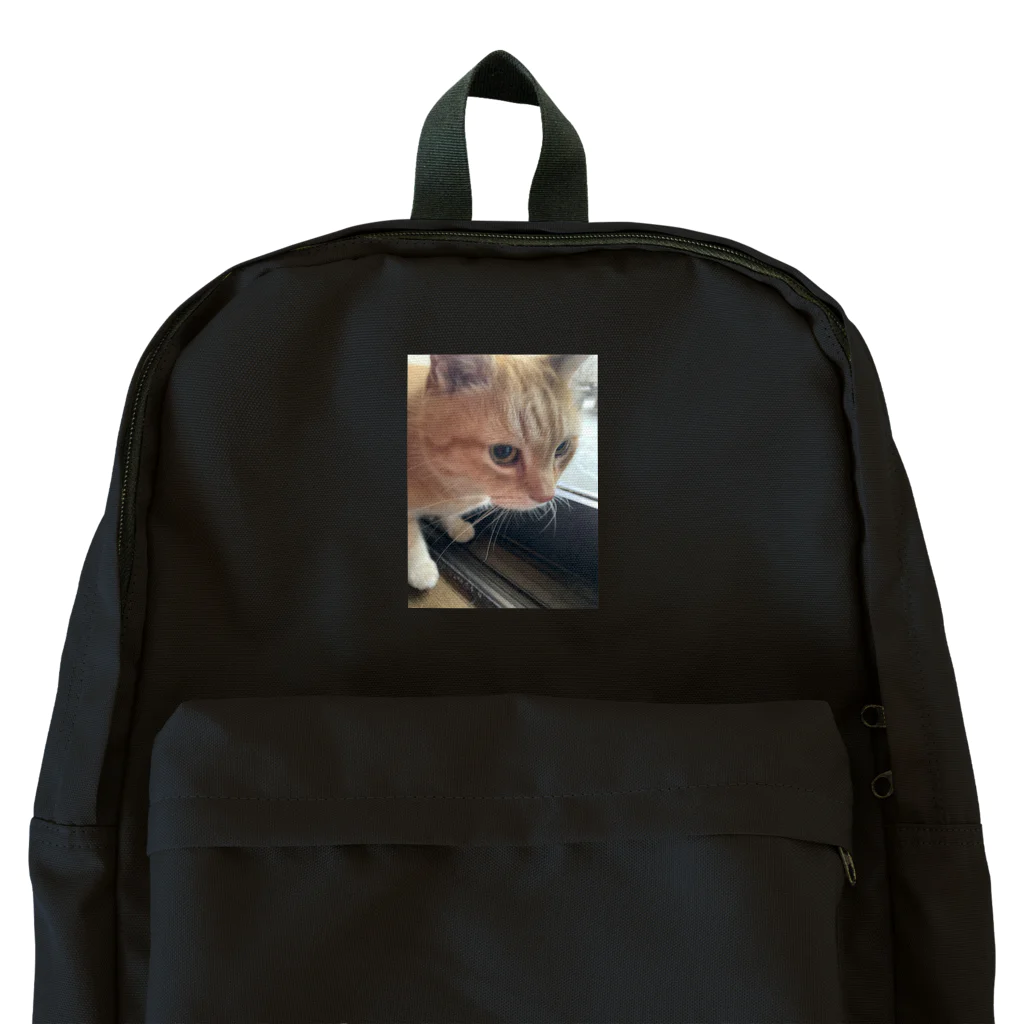 笑顔咲きのロン猫 Backpack