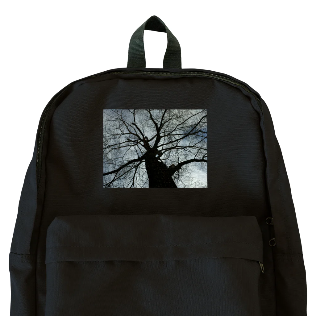 空屋　sorayakusakaの201805051602001　春の樹木 Backpack