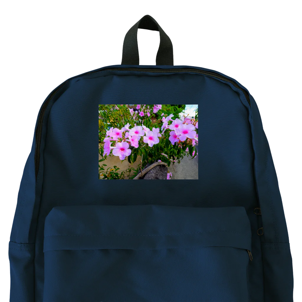 終わらない夢🌈の実写シリーズ【初夏の美しい花🌸】 Backpack
