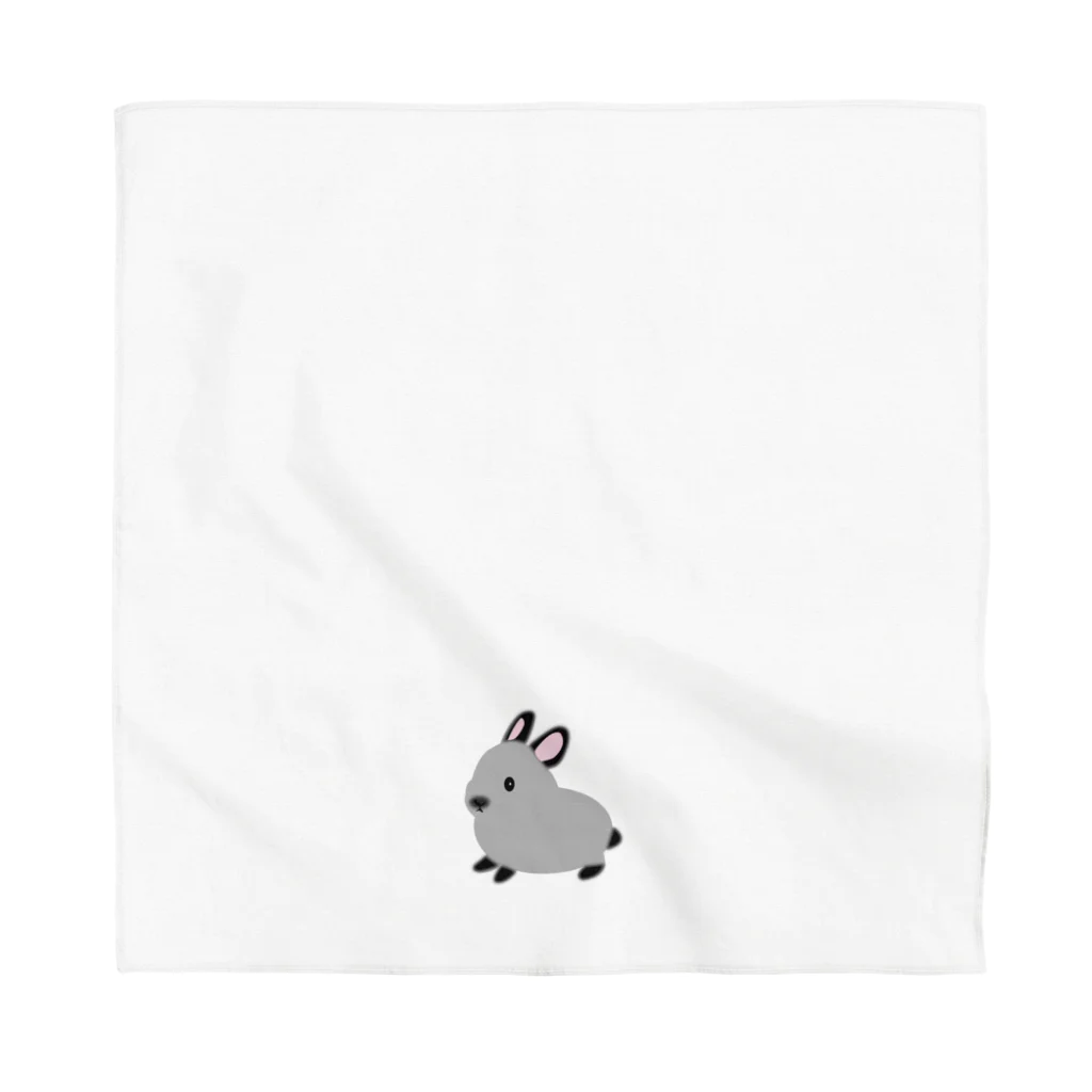 whiterabbit2010のうさぎ　サイアミーズスモークパール Bandana