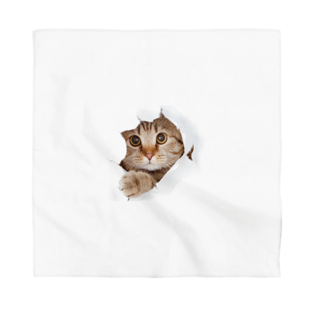 ただの猫好きのWhite Free Cute Funny Cat T-shirt Bandana