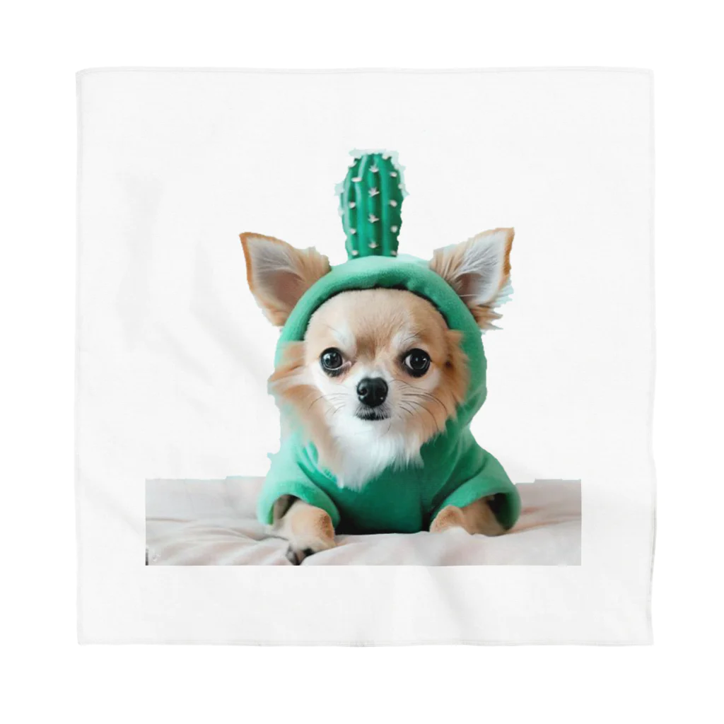 可愛いチワワ犬(#サボテンコスプレ) / 夢キャラよっぴーSHOP 可愛いチワワ犬(#サボテンコスプレ) / 夢キャラよっぴーSHOP