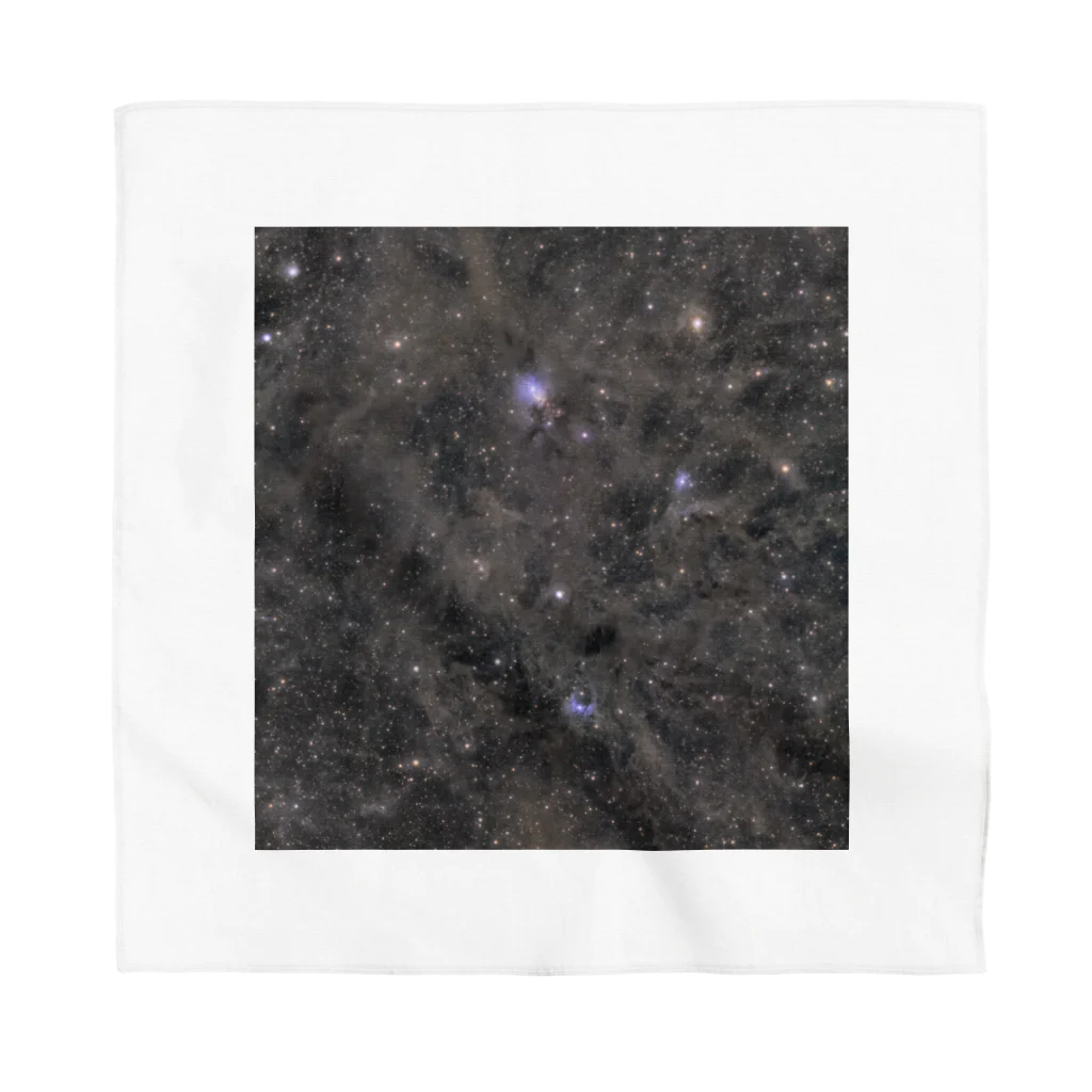 S204_NanaのNGC1333 Bandana