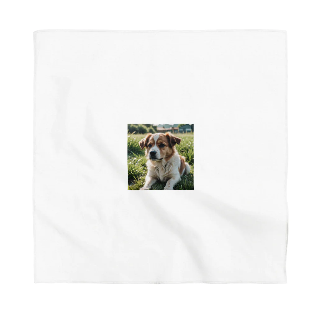 kokin0の草むらで斜めを見つめる犬 dog looking for the anywhere Bandana