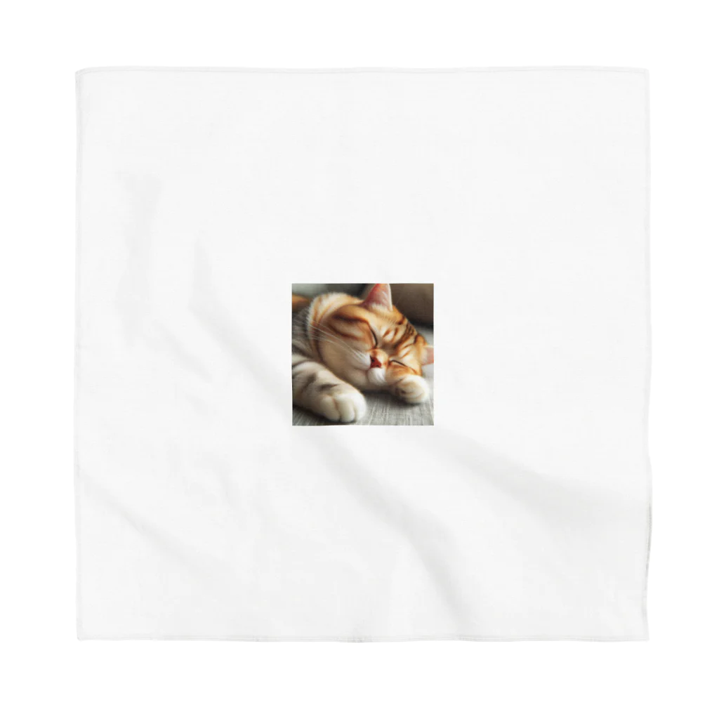 cat_smart_lifeの猫×睡眠×癒し Bandana