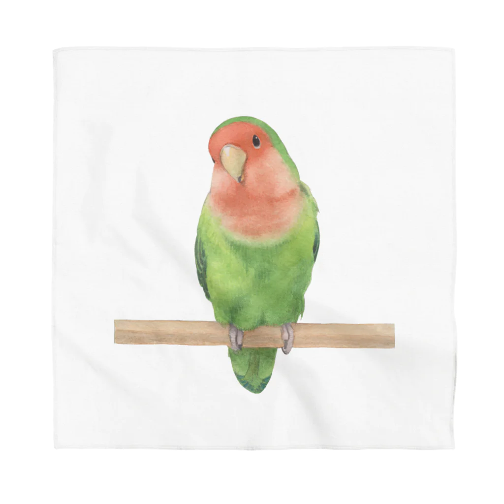 TeaDrop.Cのコザクラインコ Bandana