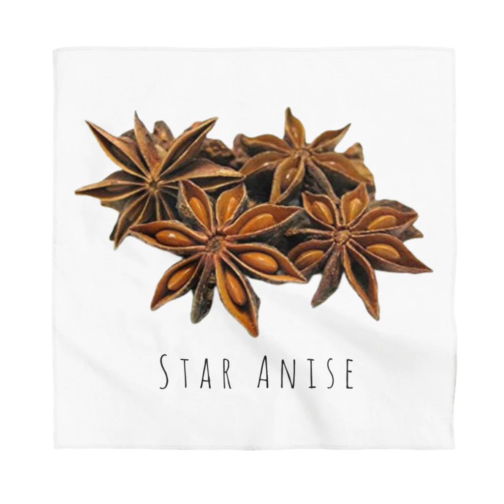 テイク コーポレーションのSTAR ANISE Bandana