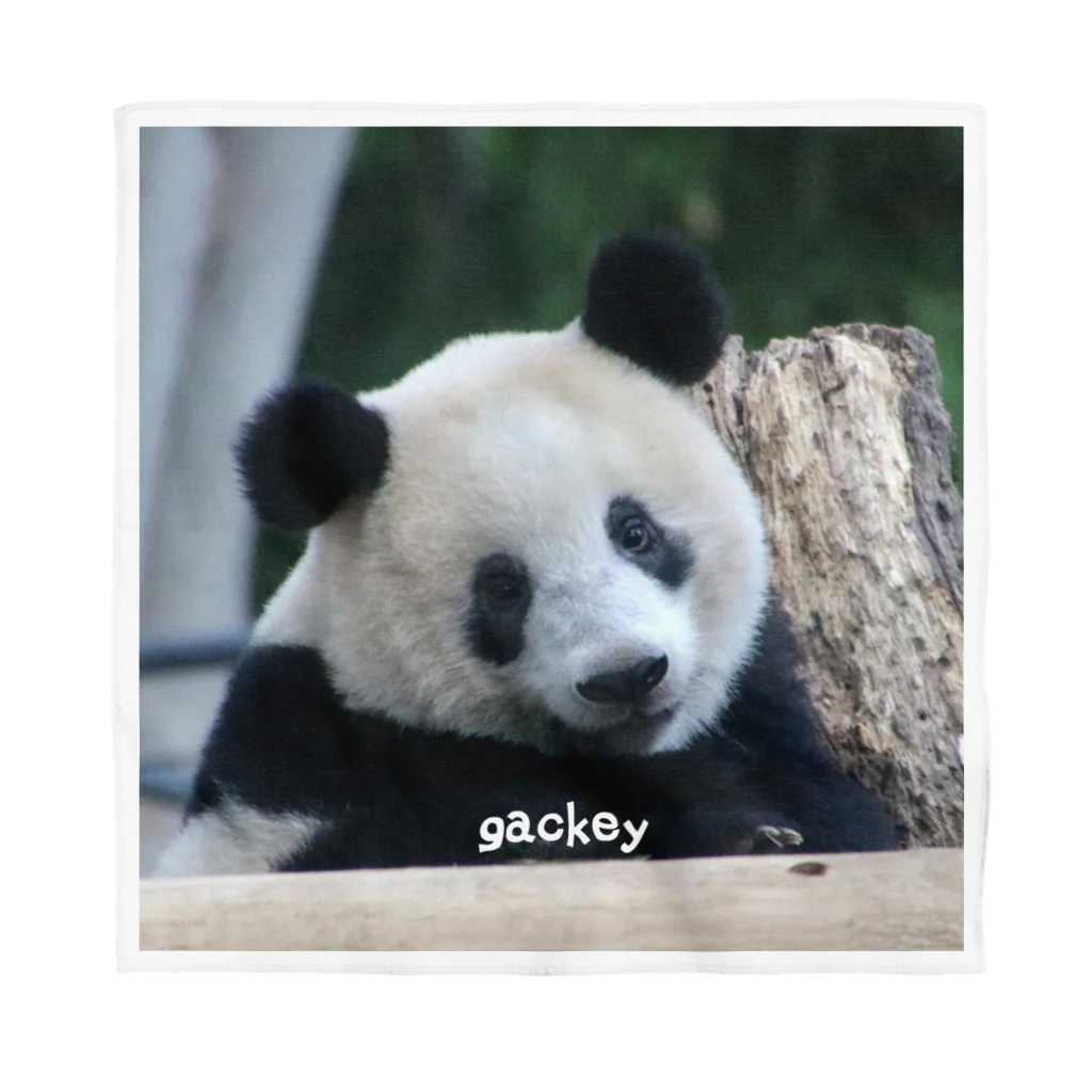 gackeyのはにかみ PANDA バンダナ