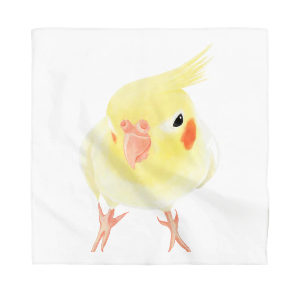 まめるりはことりのオカメインコ　おすましルチノー【まめるりはことり】 Bandana