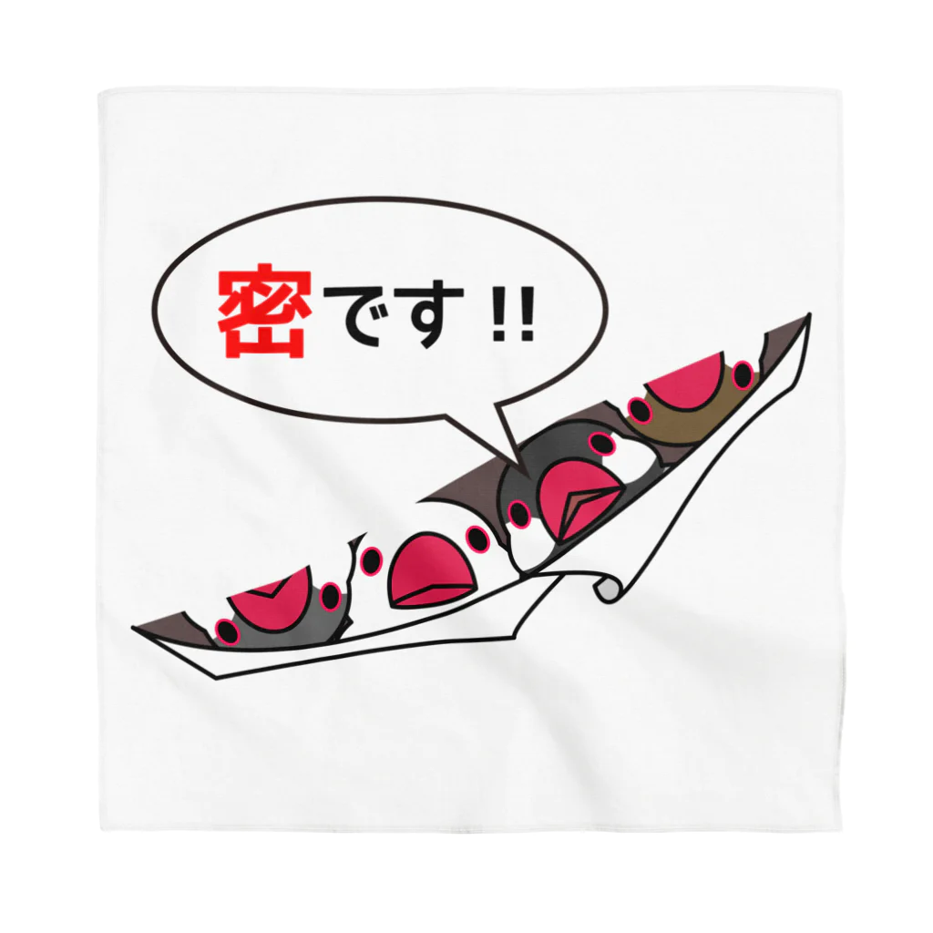 まめるりはことりの密です！フィンチさん【まめるりはことり】 Bandana