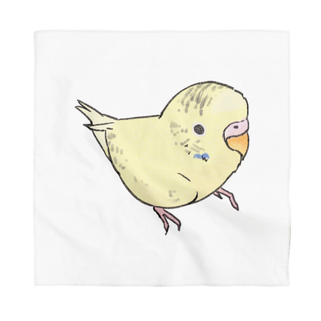 まめるりはことりの可愛いセキセイインコ　おすましちゃん【まめるりはことり】 Bandana