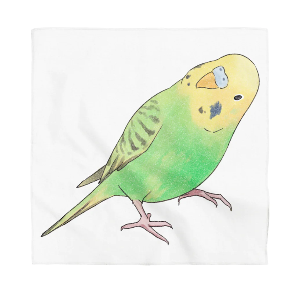 まめるりはことりの首傾げセキセイインコ　ピーちゃん【まめるりはことり】 Bandana